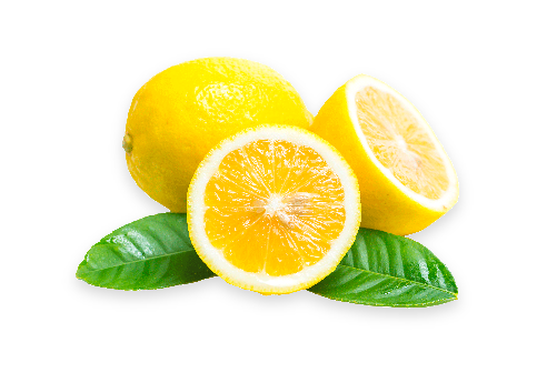 professional products hairdresser-ingredient LEMON EXTRACTS