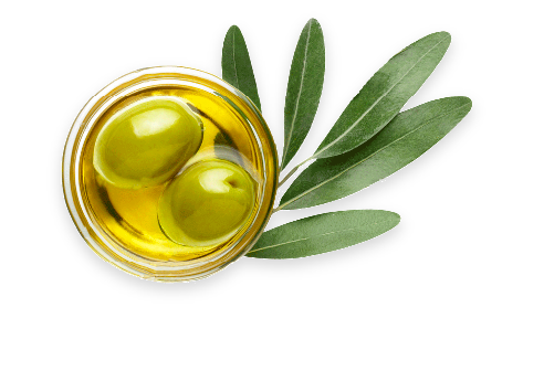 professional hairdresser products ingredient OLIVE OIL